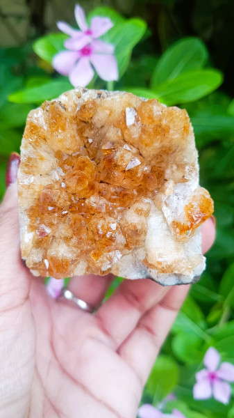 Image of Yellow Citrine Cluster - 215.20 Grams