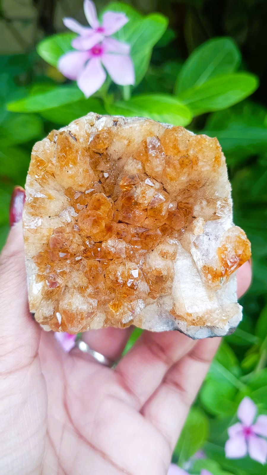 Yellow Citrine Cluster - 21520 Grams