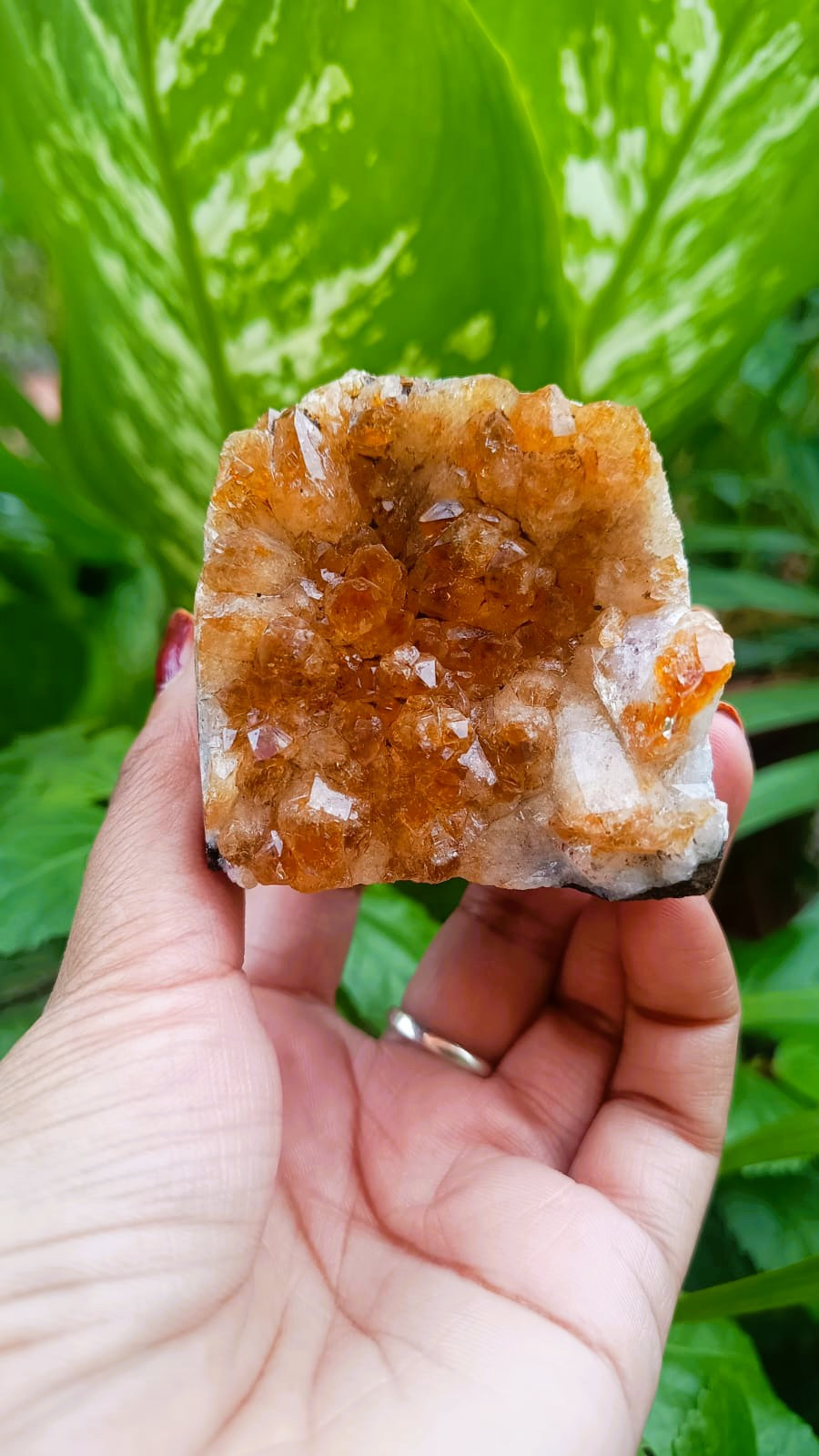Yellow Citrine Cluster - 21520 Grams