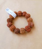 7 Mukhi Nepali Rudraksh Bracelet