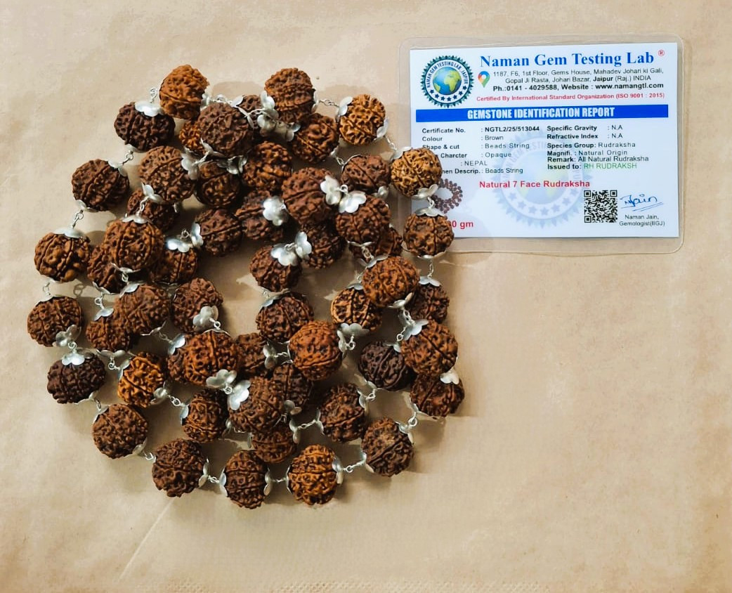 7 Mukhi Nepali Rudraksh Mala  With Silver Capping 541 Beads 19-20MM Approx