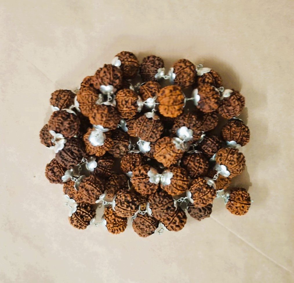 7 Mukhi Nepali Rudraksh Mala  With Silver Capping 541 Beads 19-20MM Approx