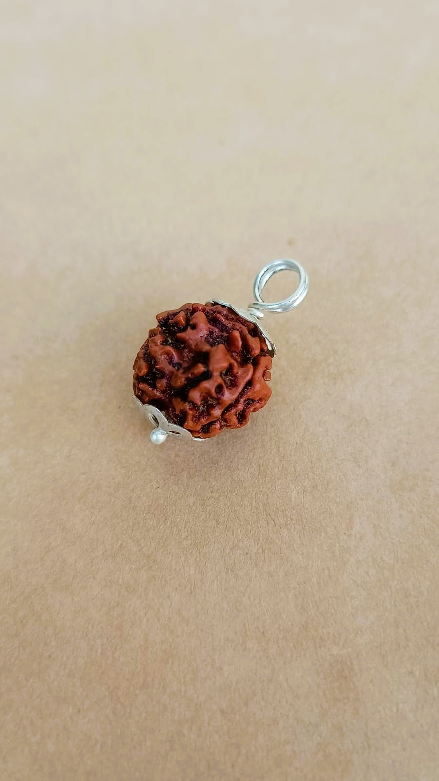 Natural 3 Mukhi Rudraksh Nepali