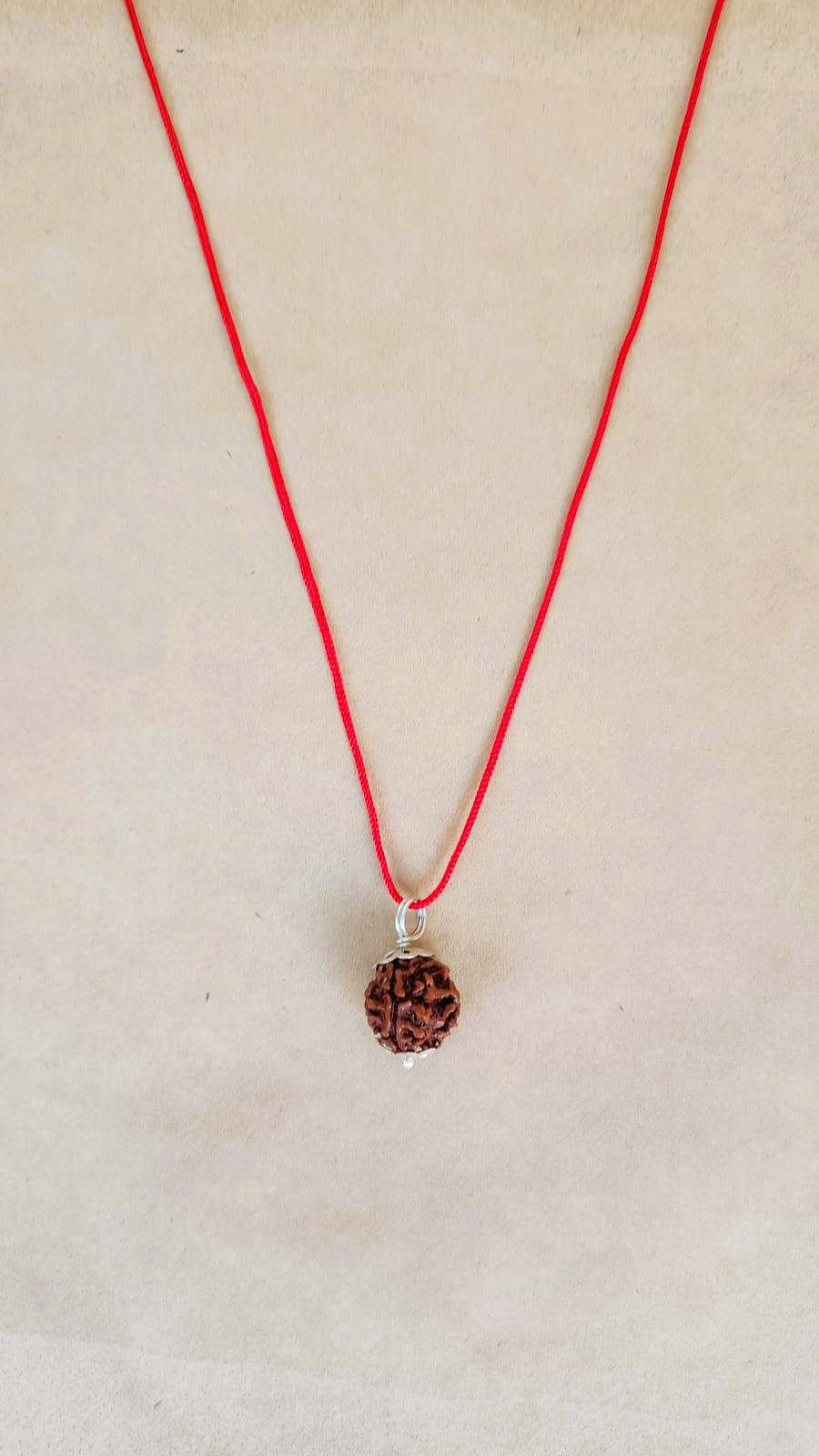 Natural 3 Mukhi Rudraksh Nepali