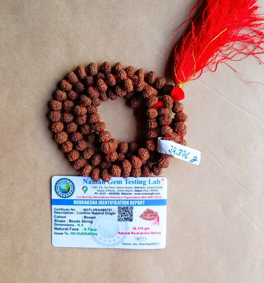 8 Mukhi Rudraksh Mala 8 MM - 1081 Beads