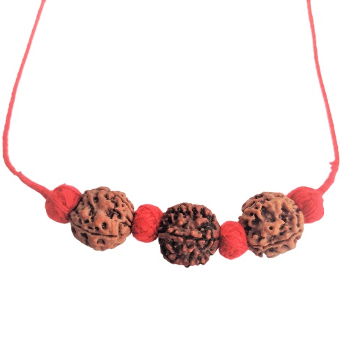 Saraswati Bandh Combination - For students