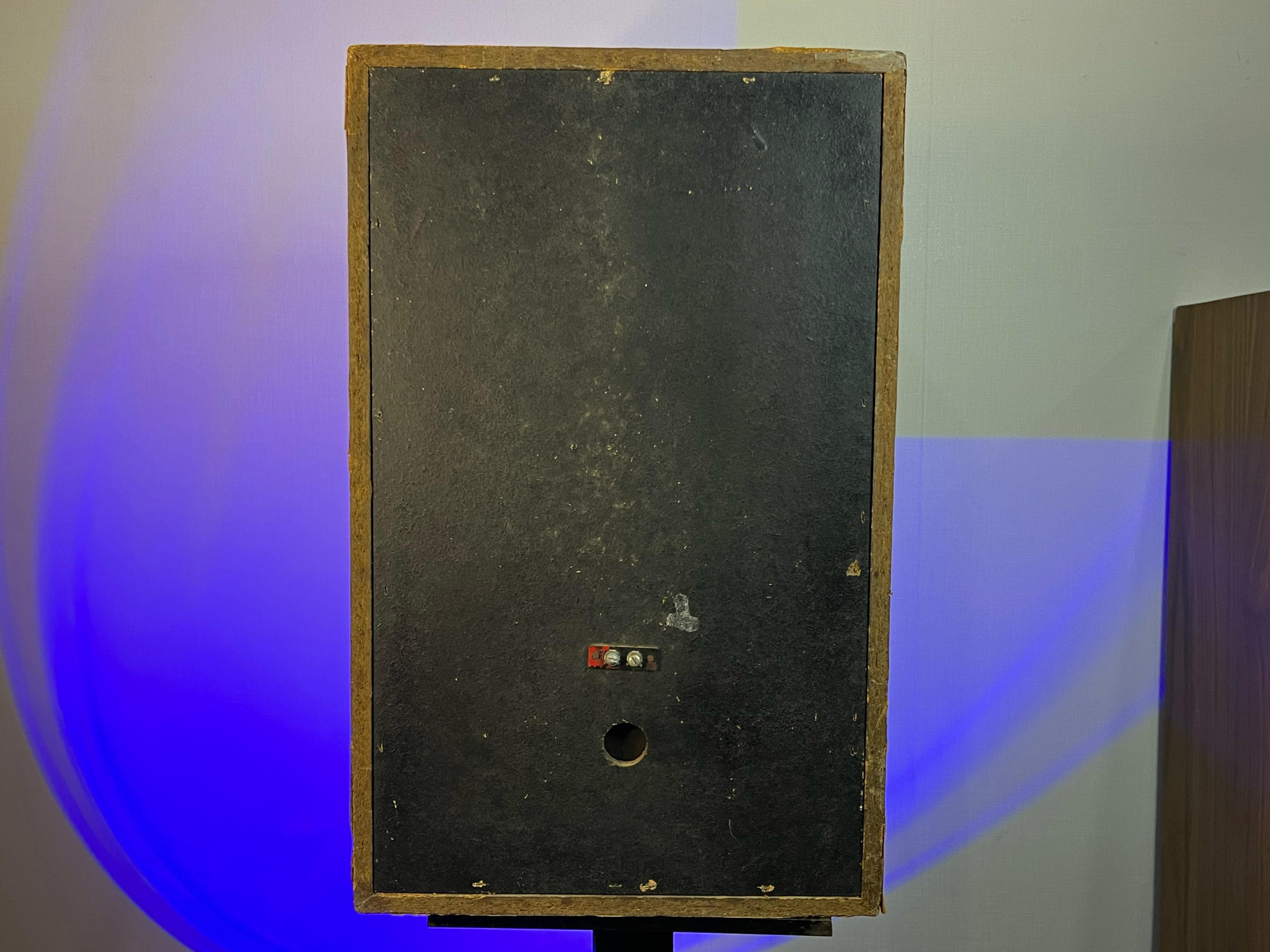 Avante Model V1003 Speaker