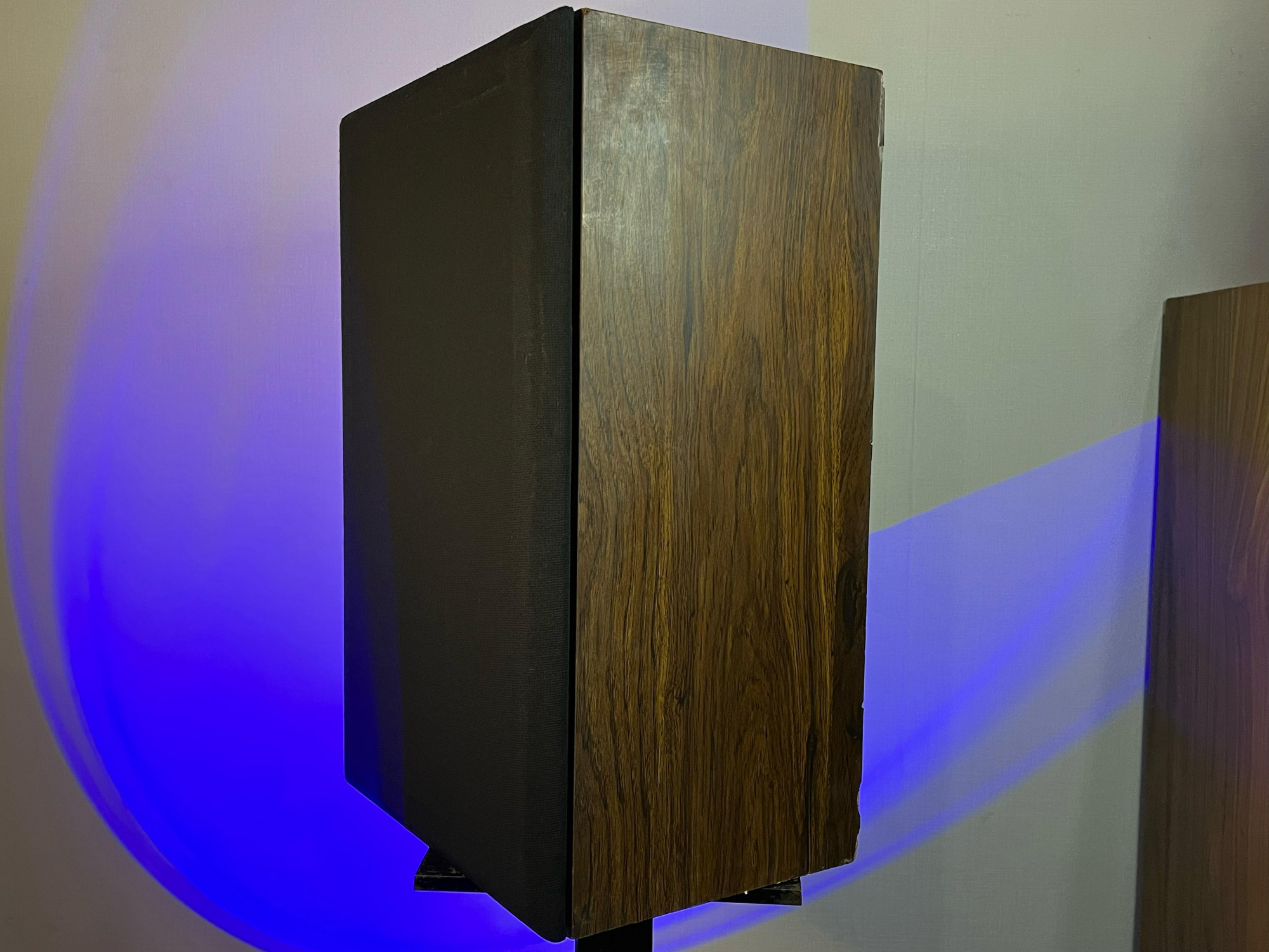 Avante Model V1003 Speaker