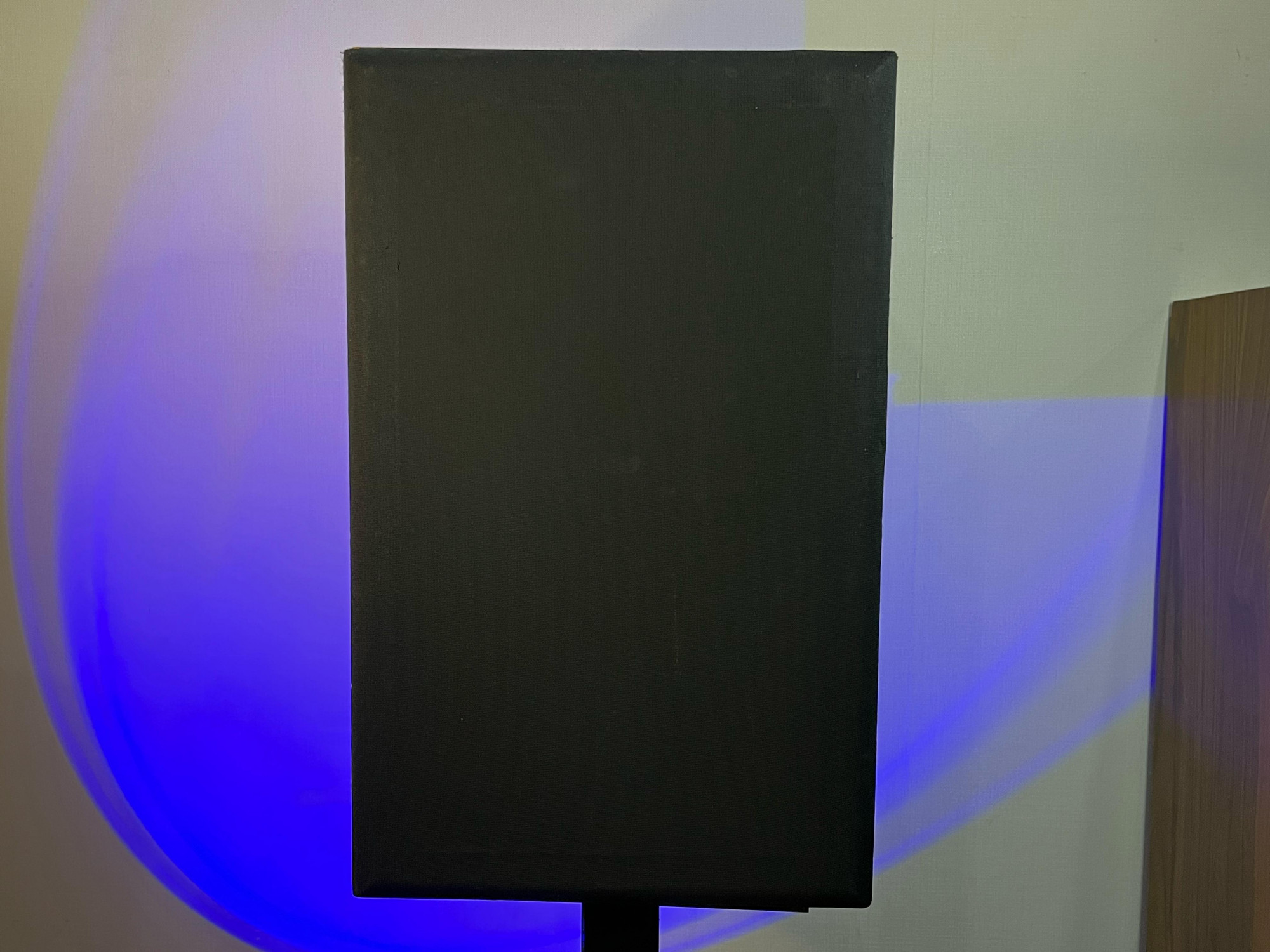 Avante Model V1003 Speaker