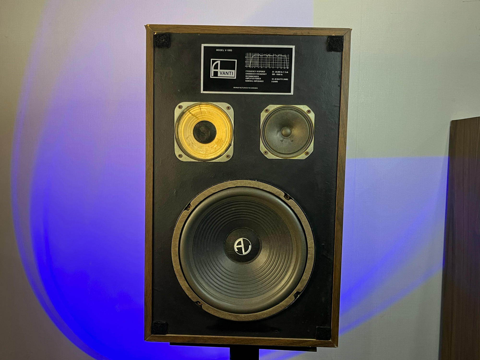 Avante Model V1003 Speaker