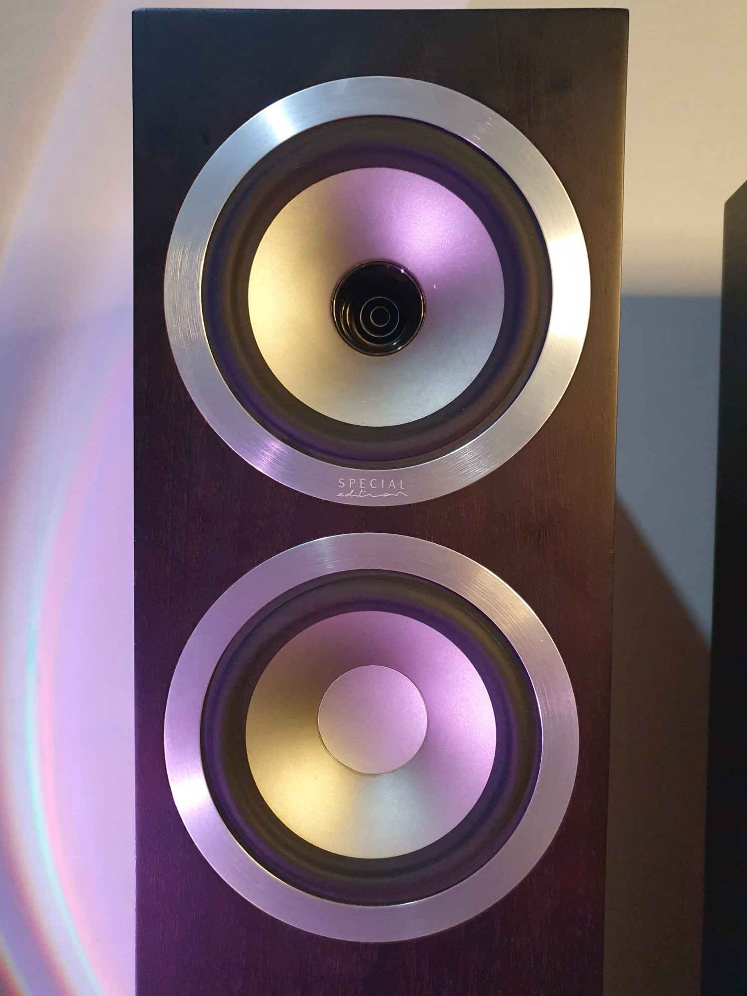 Tannoy Revolution DC6T Special Edition
