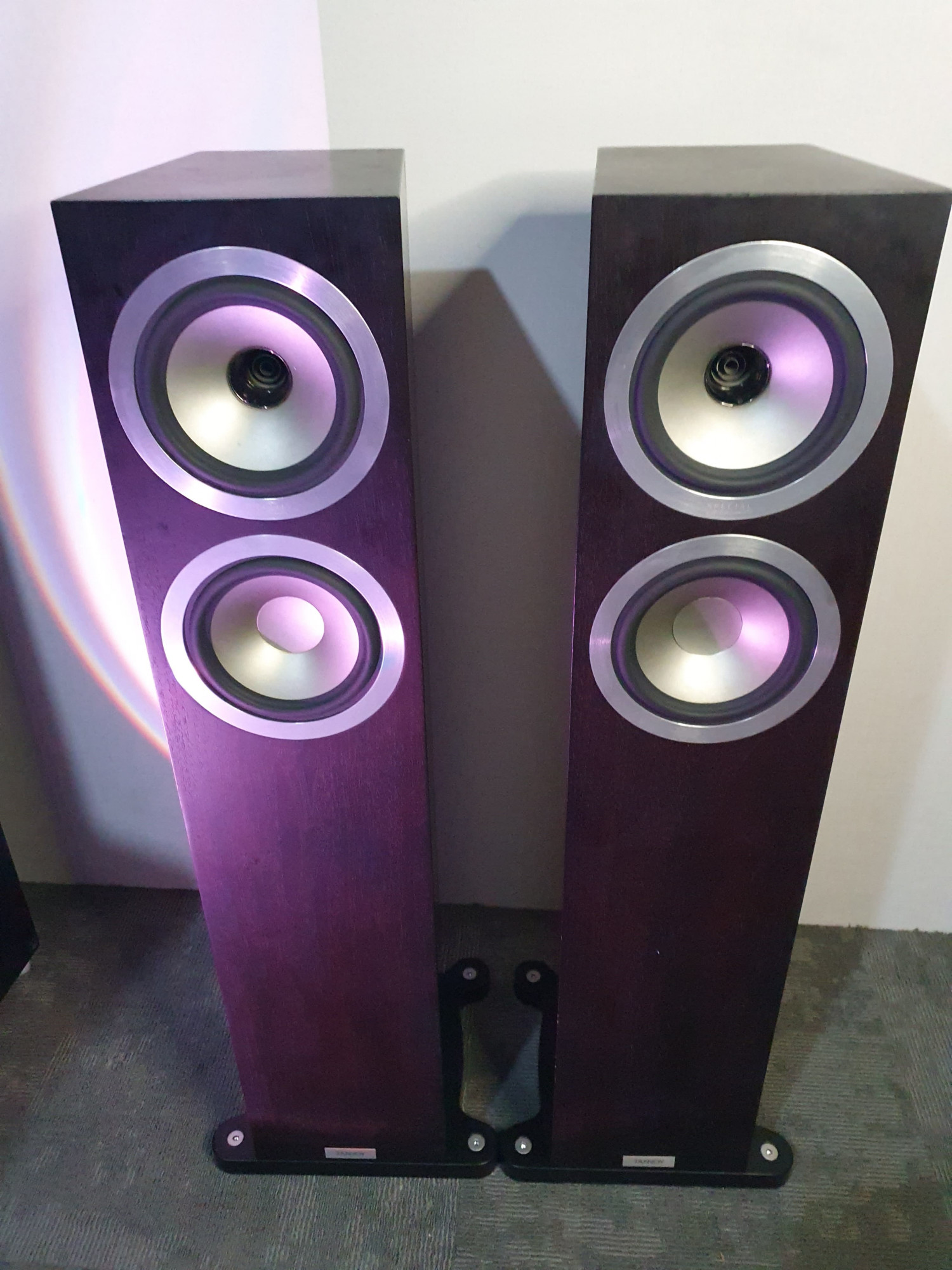 Tannoy Revolution DC6T Special Edition