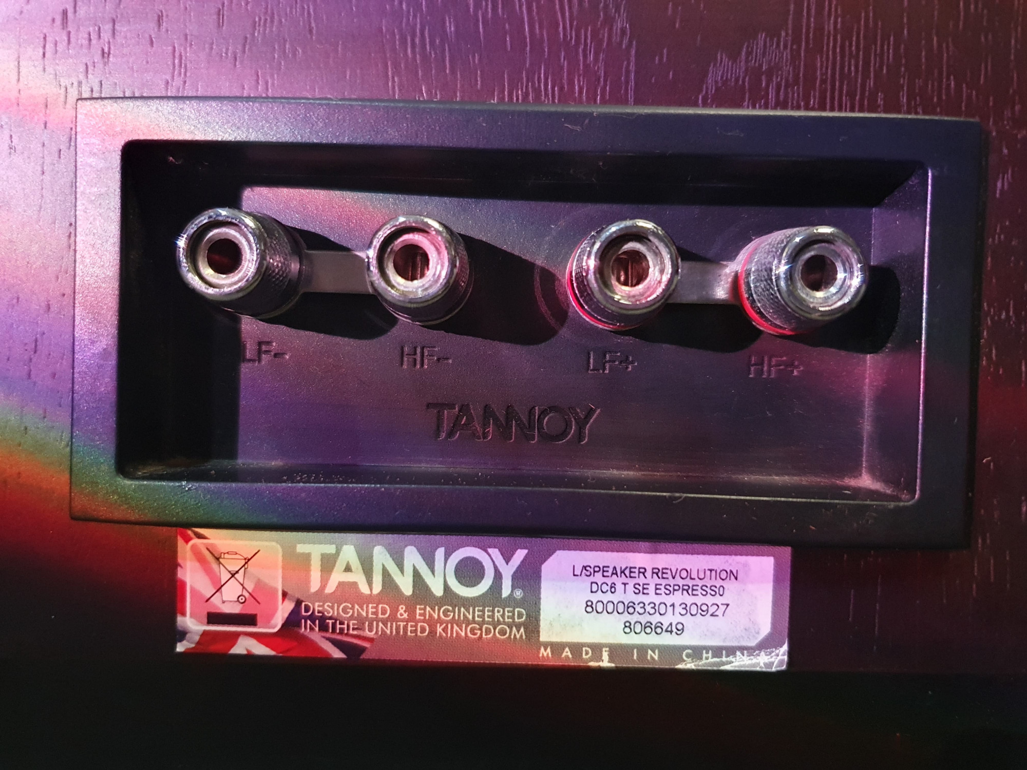 Tannoy Revolution DC6T Special Edition