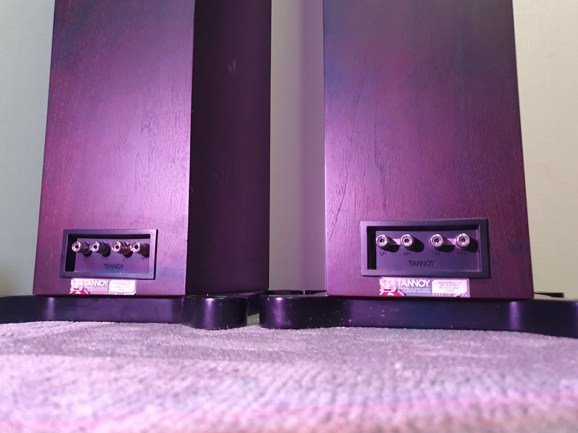 Tannoy Revolution DC6T Special Edition