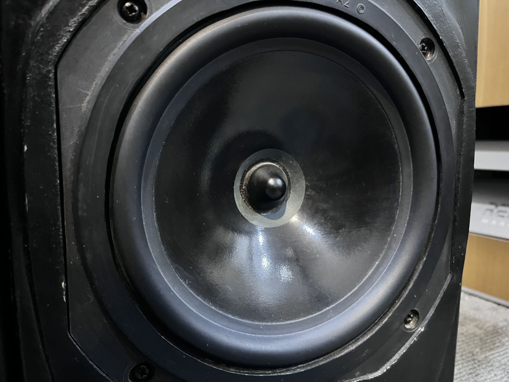 Harbeth DPM 1 pro speakers