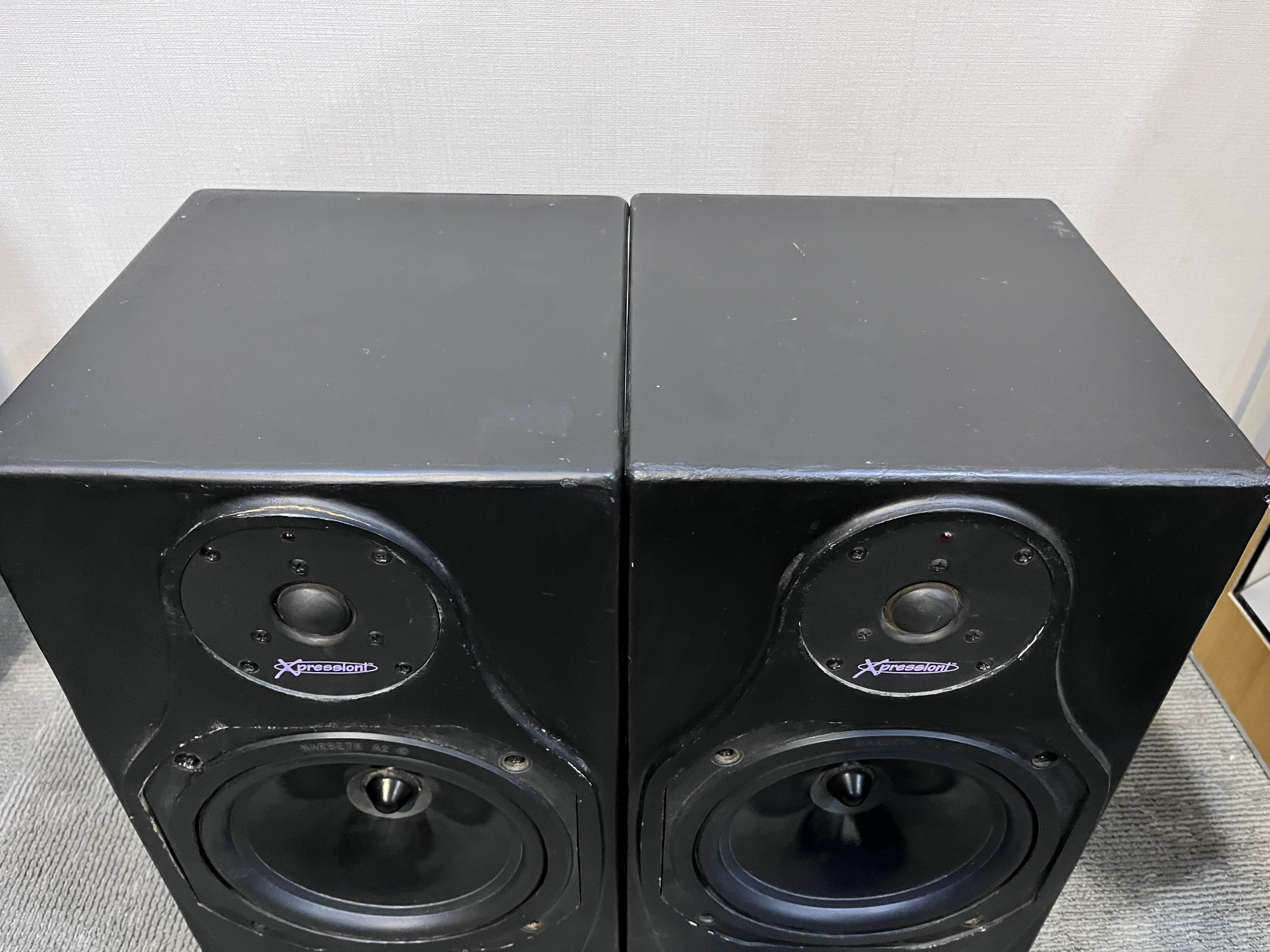 Harbeth DPM 1 pro speakers
