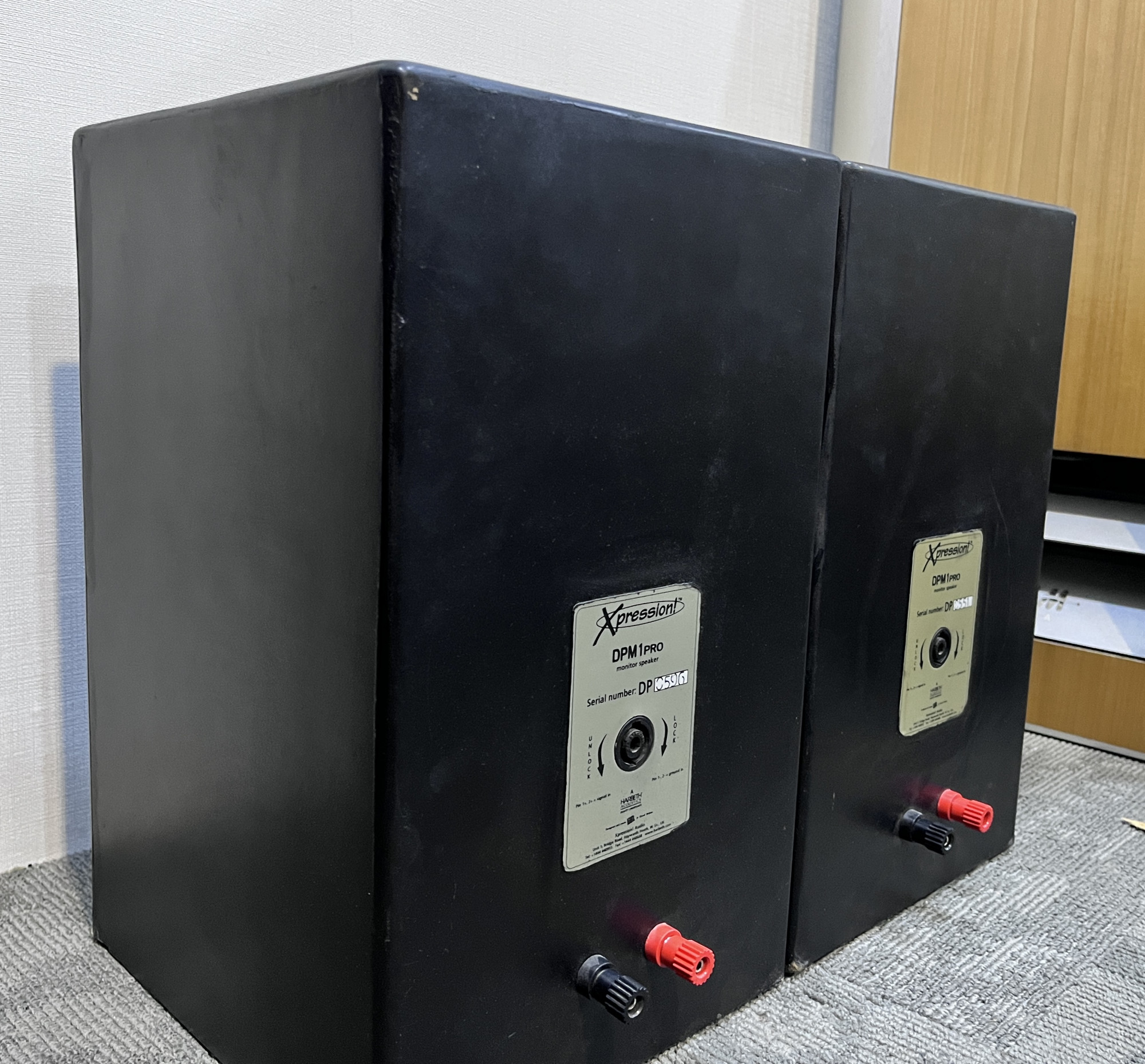 Harbeth DPM 1 pro speakers