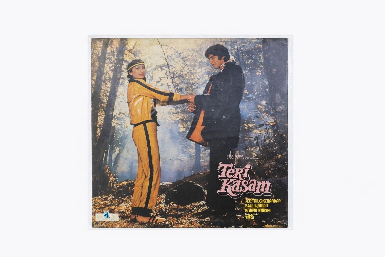 Teri Kasam