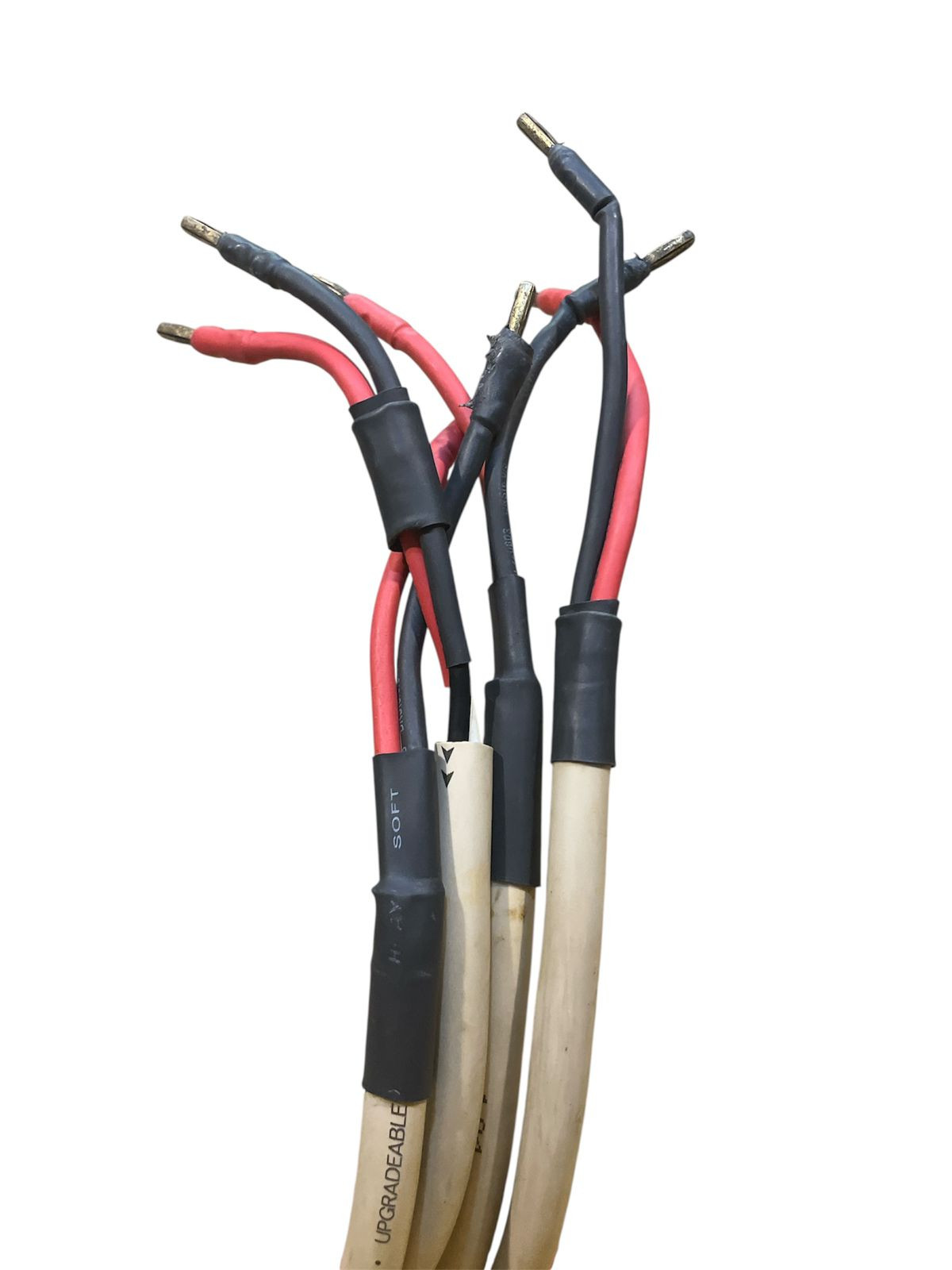 Speaker Cable