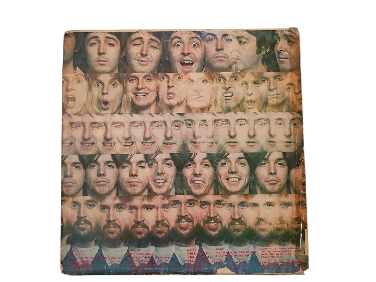 Wings at the Speed of Sound