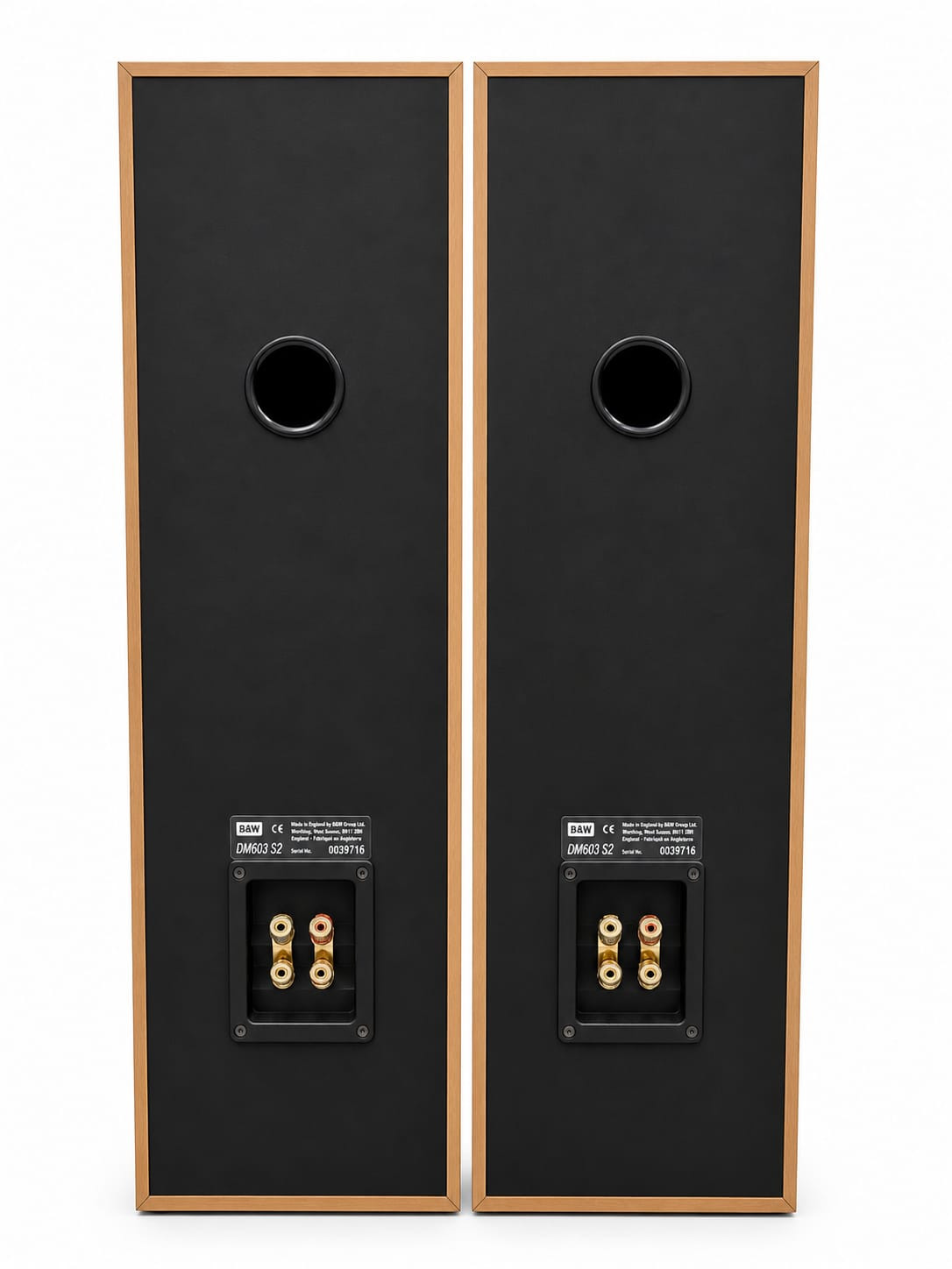 BW DM603 S2