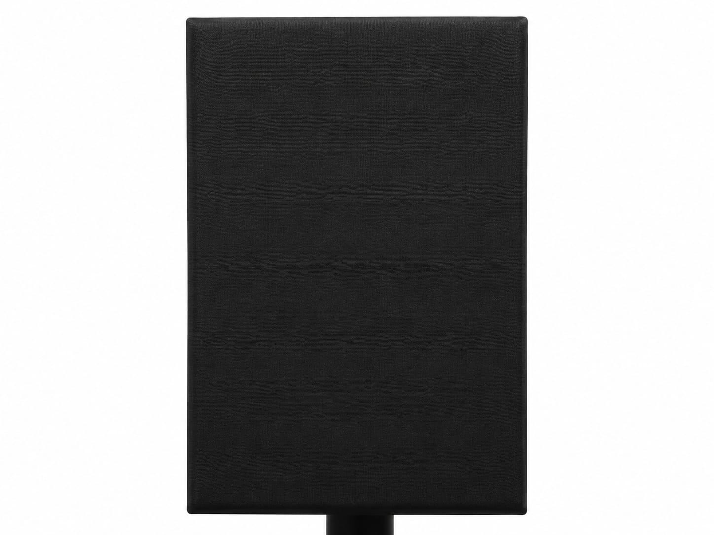 Avante Model V1003 Speaker