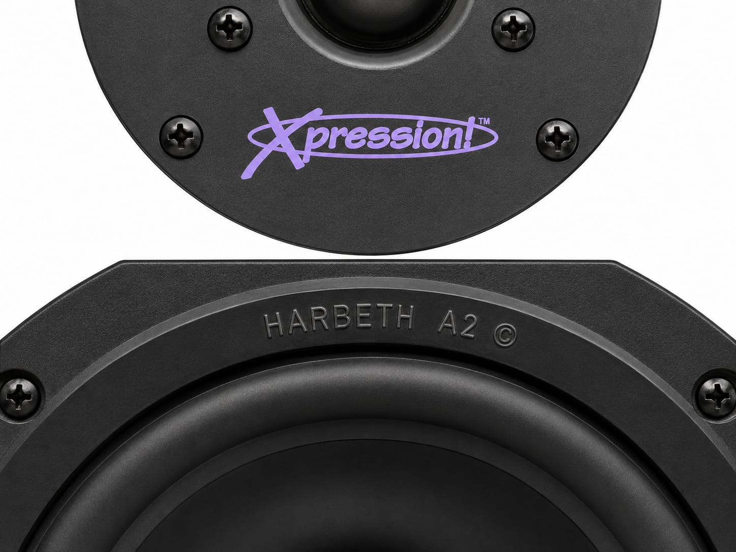 Harbeth DPM 1 pro speakers