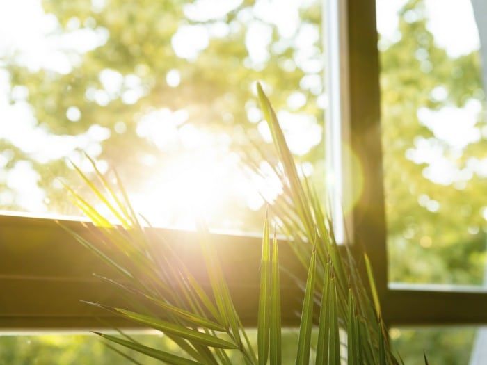 Home decoration in Spring