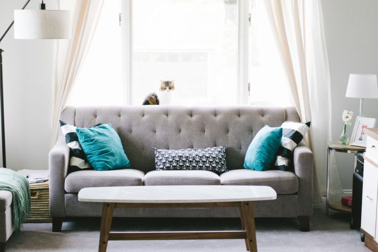Renovate your home without spending money