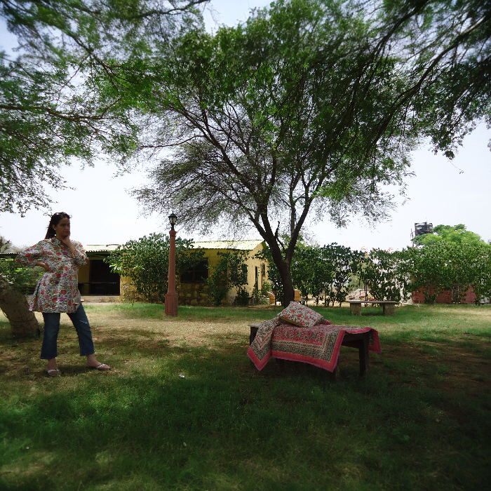 Category Alt Cotton Quilts