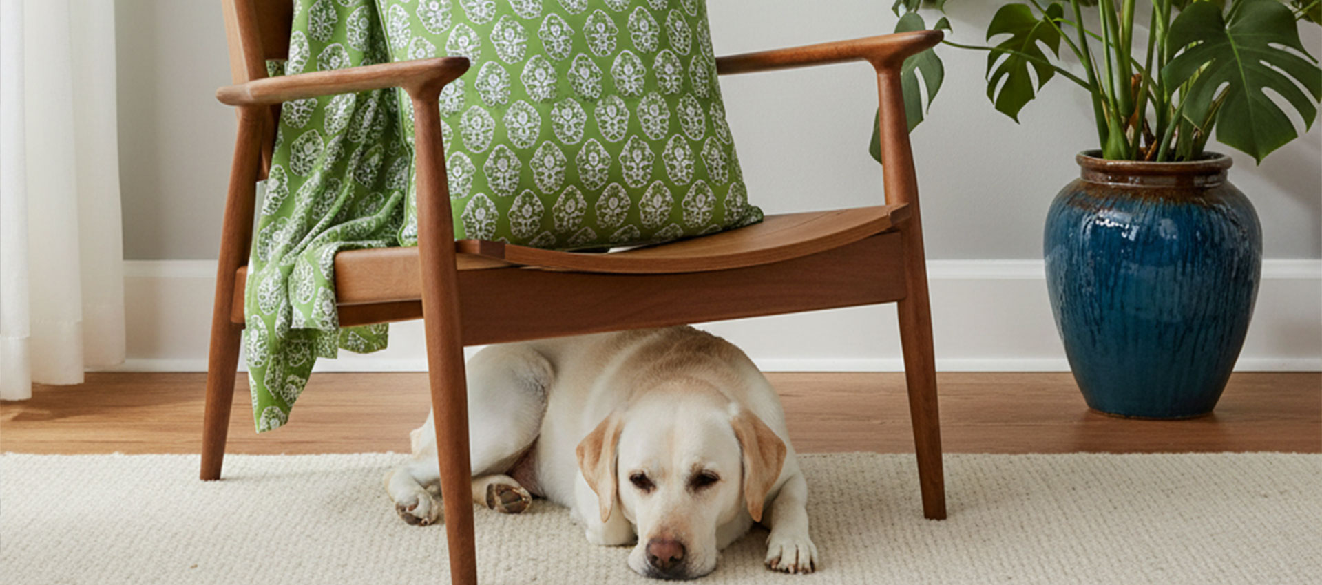 Piping Cushions 50x50 cms