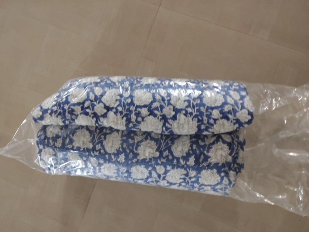 Image of Hand Block Printed Cotton Queen Size Quilt | 302015