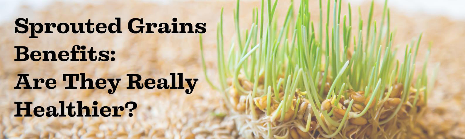 Sprouted Grains Benefits