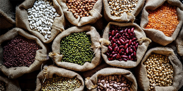 Switch to Organic Pulses for Better Health