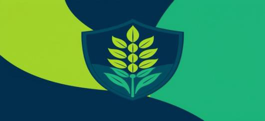Enhanced Vitamin Content