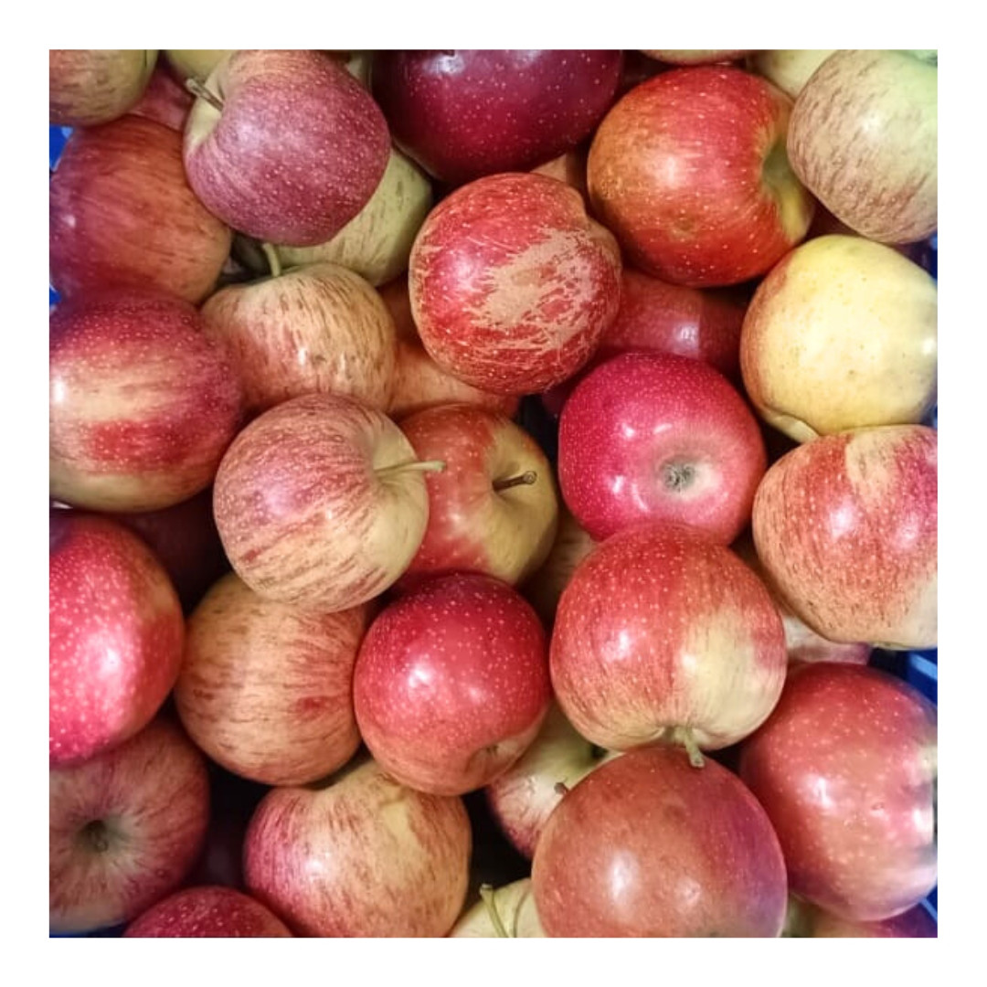 Apple Royal Gala 1kg - Organically Grown | Buy Online in Delhi NCR | Rootz Organics