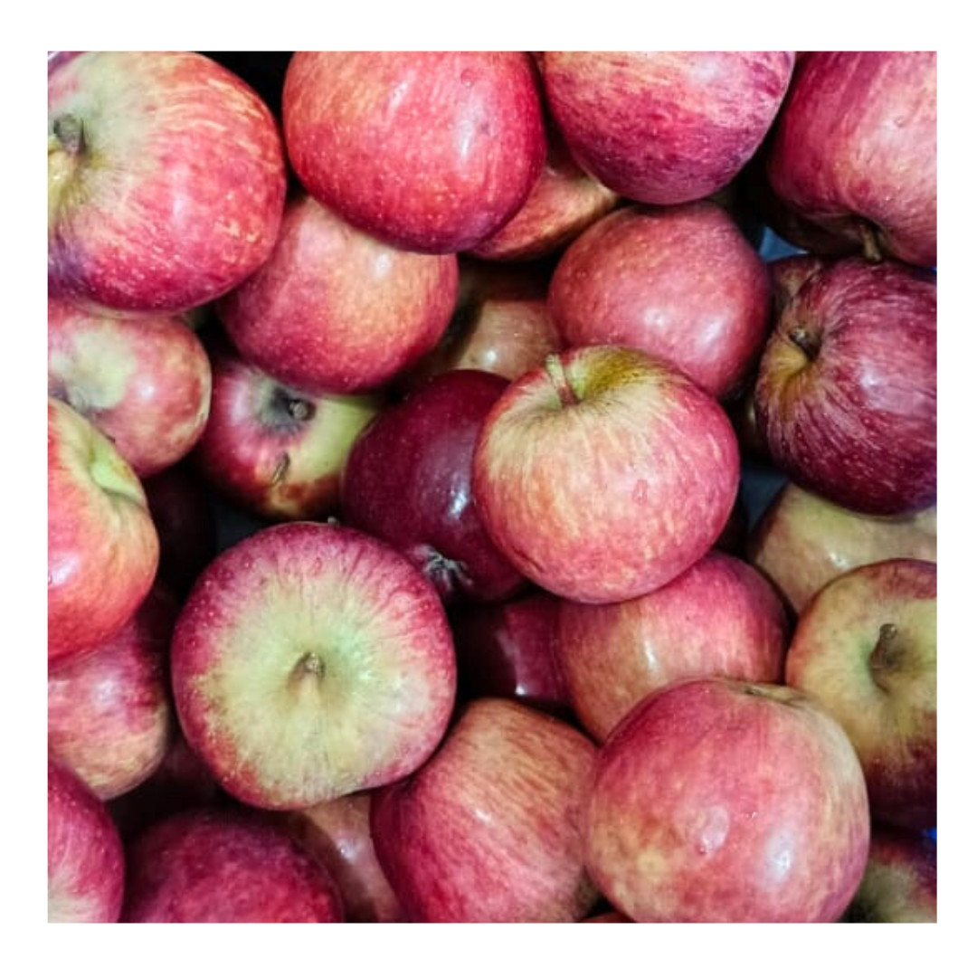 Apple Red Delicious 1kg - Organically Grown | Buy Online in Delhi NCR | Rootz Organics