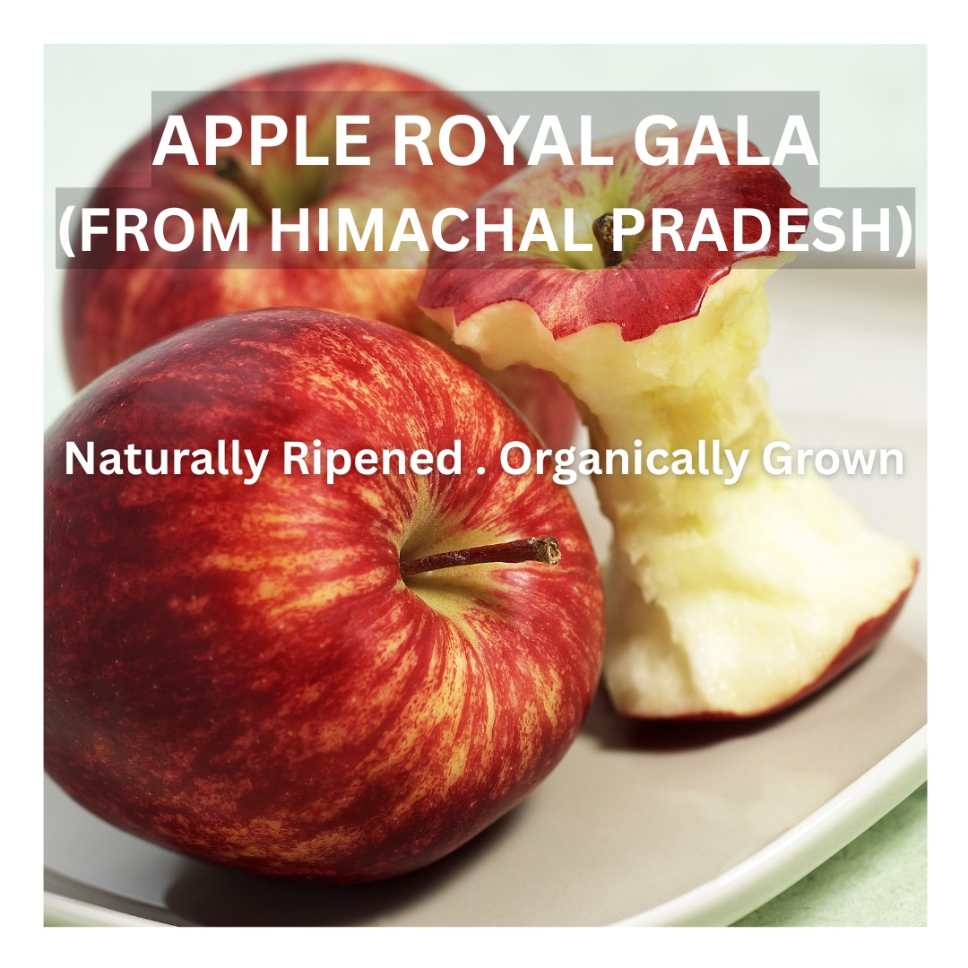 Apple Royal Gala 1kg - Organically Grown | Buy Online in Delhi NCR | Rootz Organics