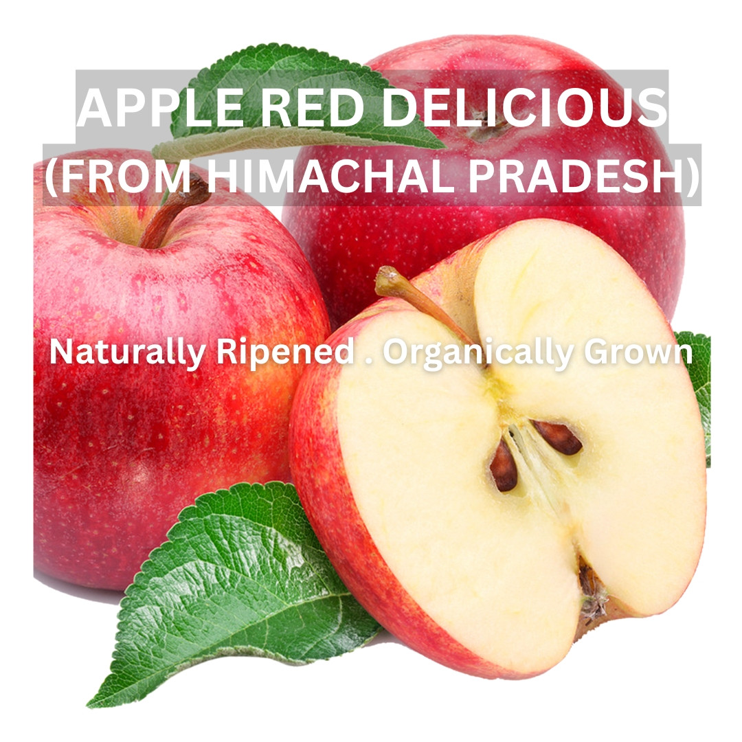 Apple Red Delicious 1kg - Organically Grown | Buy Online in Delhi NCR | Rootz Organics