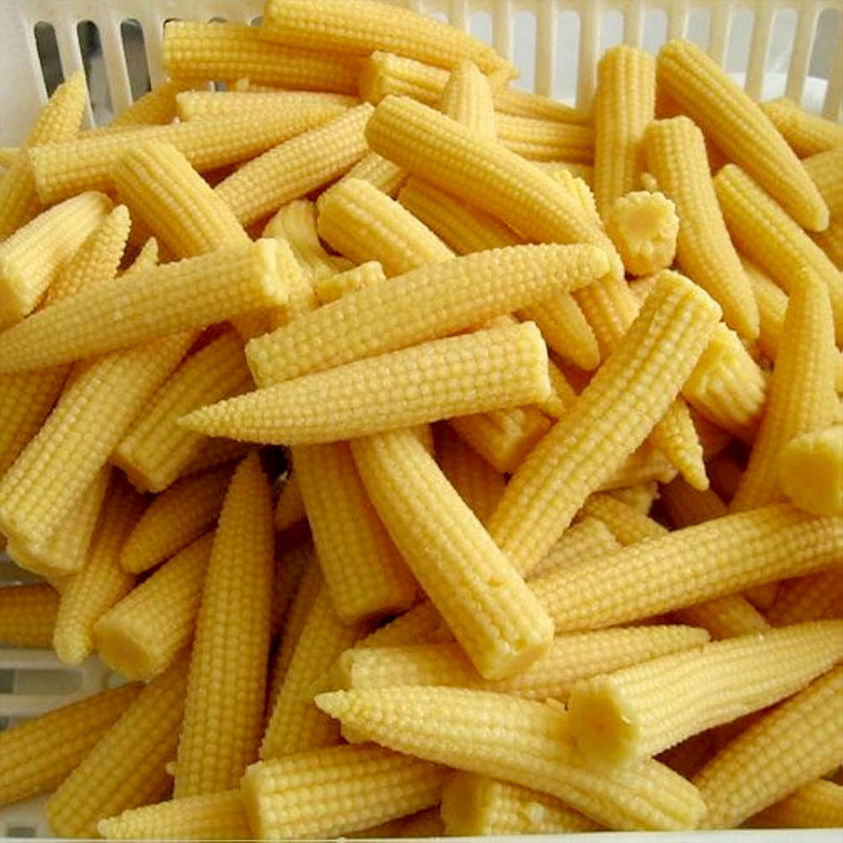 Baby Corn 250g - Organically Grown | Buy Online in Delhi NCR | Rootz Organics