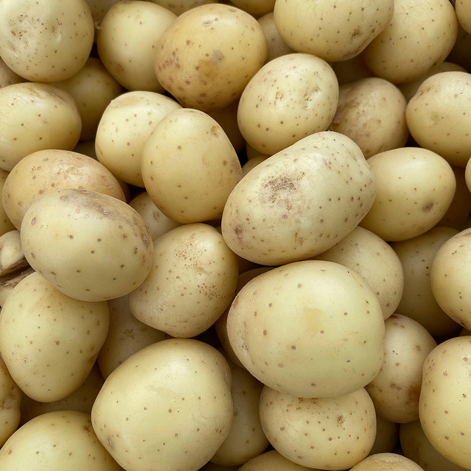 Baby Potato 1kg - Organically Grown | Buy Online in Delhi NCR | Rootz Organics