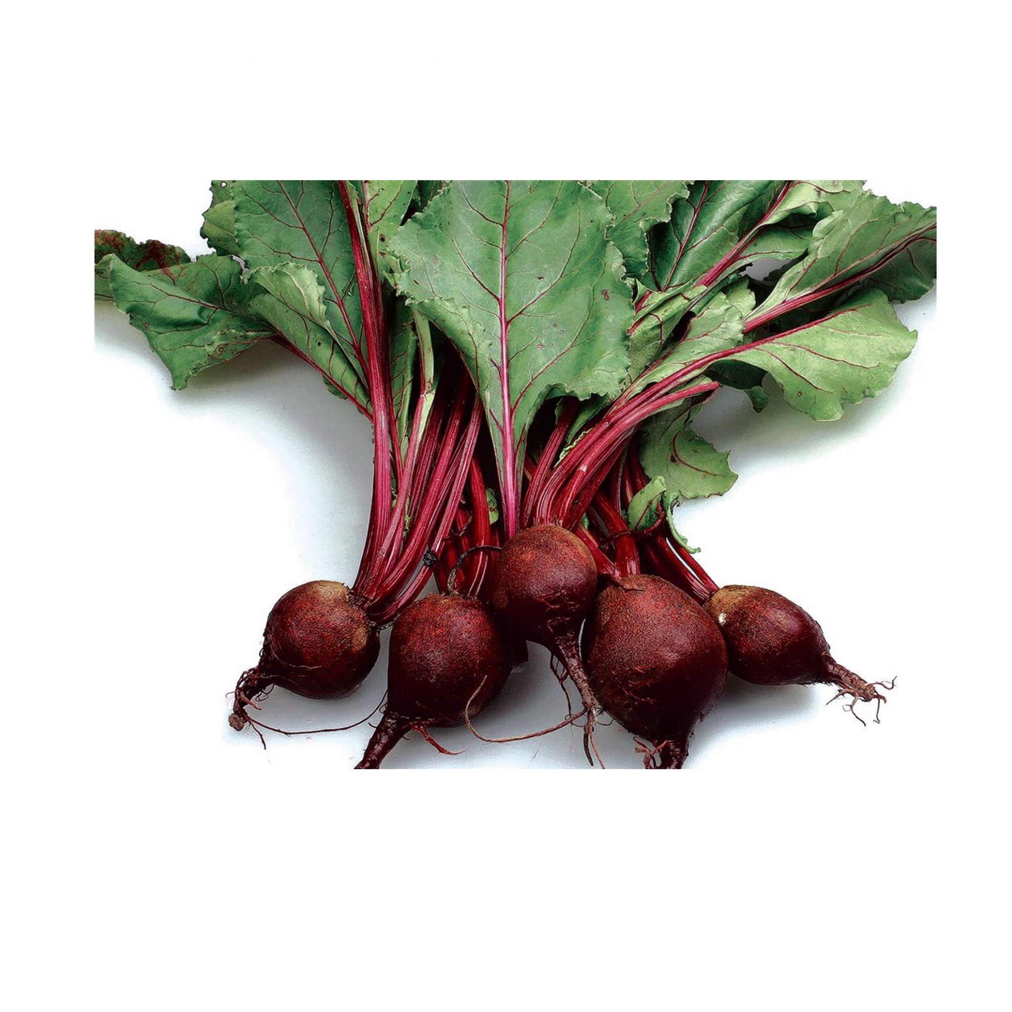 Beetroot 250g - Organically Grown | Buy Online in Delhi NCR | Rootz Organics