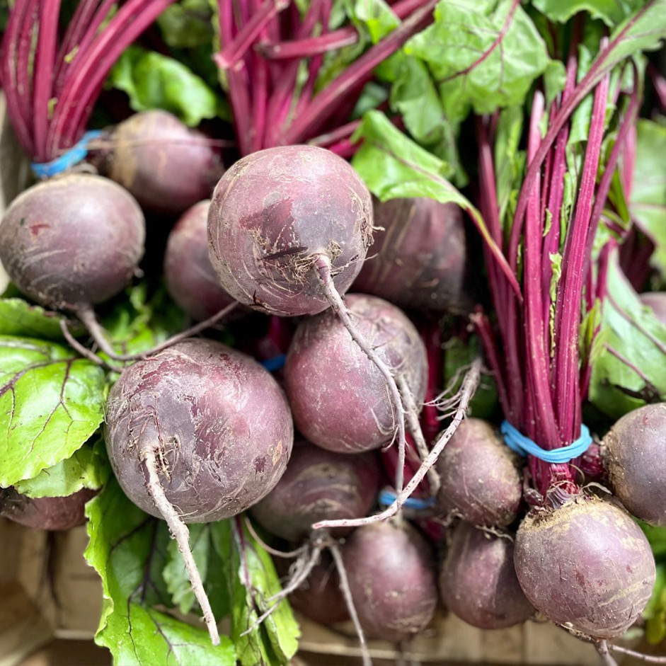 Beetroot 250g - Organically Grown | Buy Online in Delhi NCR | Rootz Organics
