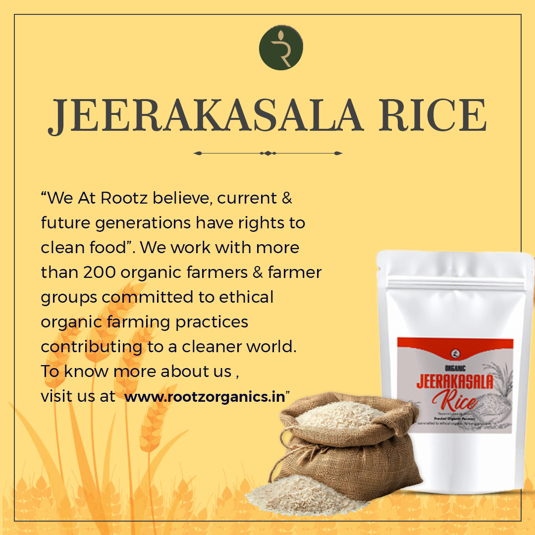 Organic Jeerakasala Rice 900G