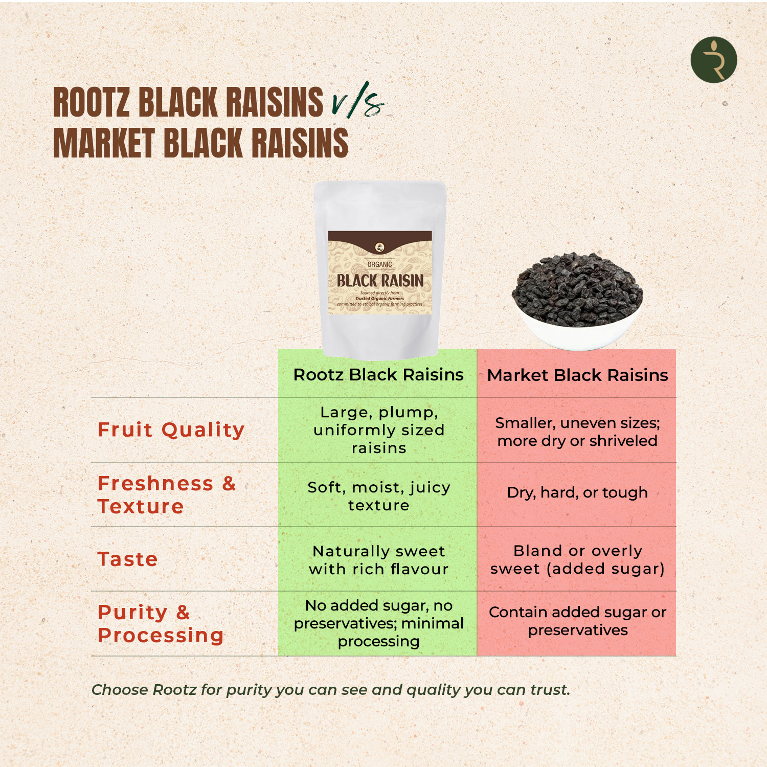 Organic Raisin Black 100gm