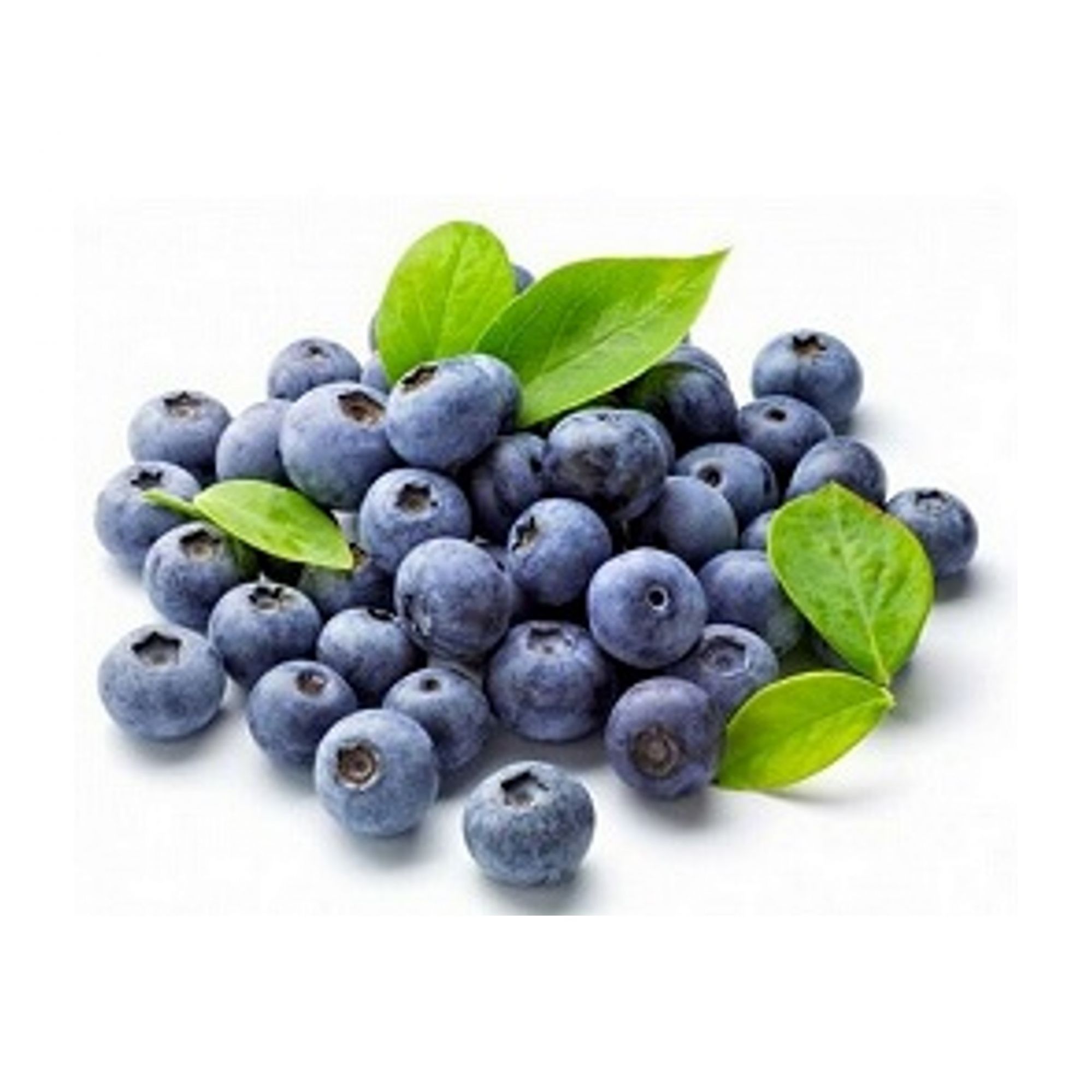 Blueberry 125g - Organically Grown | Buy Online in Delhi NCR | Rootz Organics