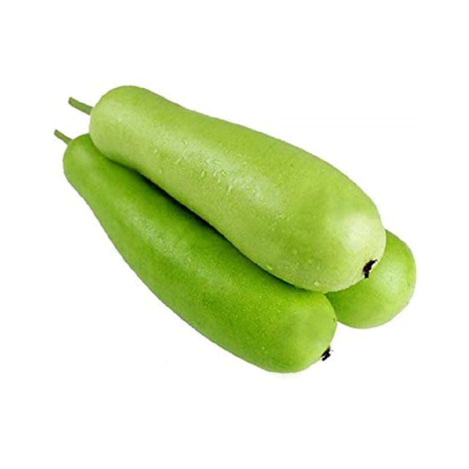 Lauki Long 500g - Organically Grown | Buy Online in Delhi NCR | Rootz Organics