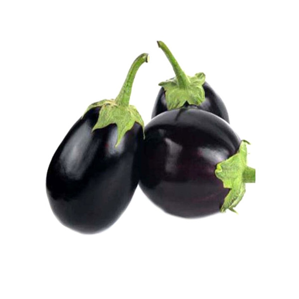 Image of Brinjal Round Big 500g - Organically Grown | Buy Online in Delhi NCR | Rootz Organics