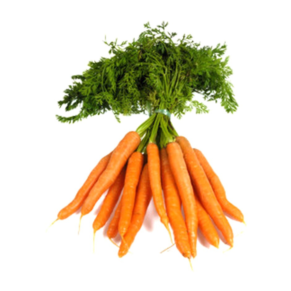 Carrot Orange 500g - Organically Grown | Buy Online in Delhi NCR | Rootz Organics