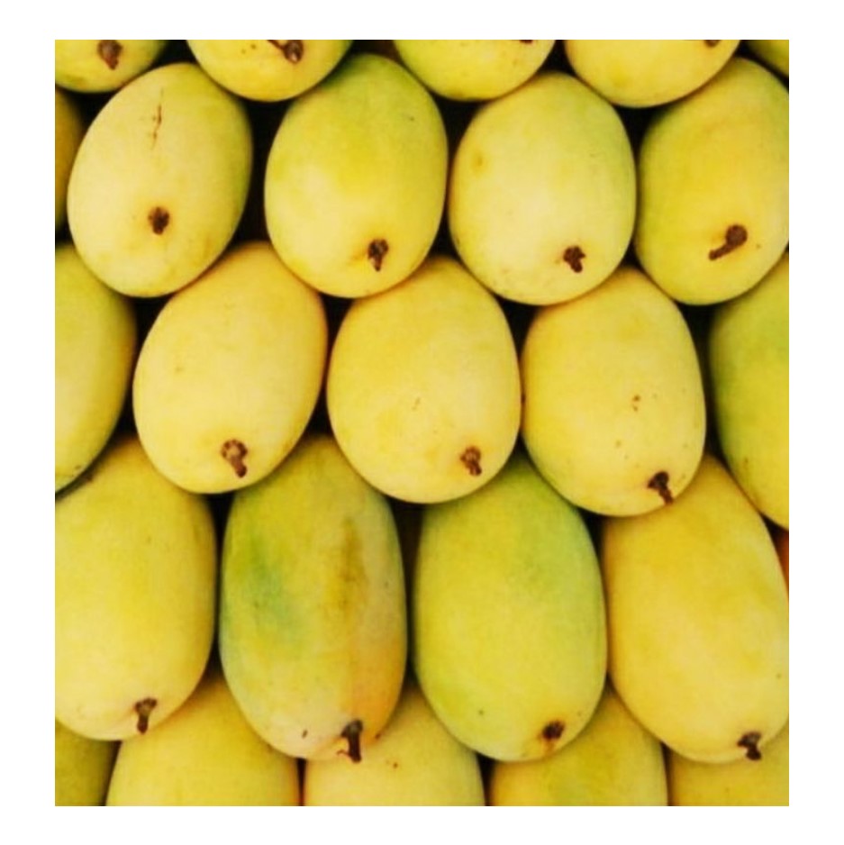 Chausa Mango 1kg